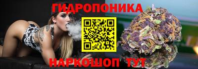 apvp Аргун