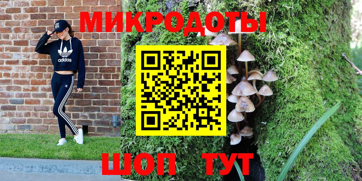 Псилоцибиновые грибы Psilocybe  Вход с VPN  наркота  Боровичи 